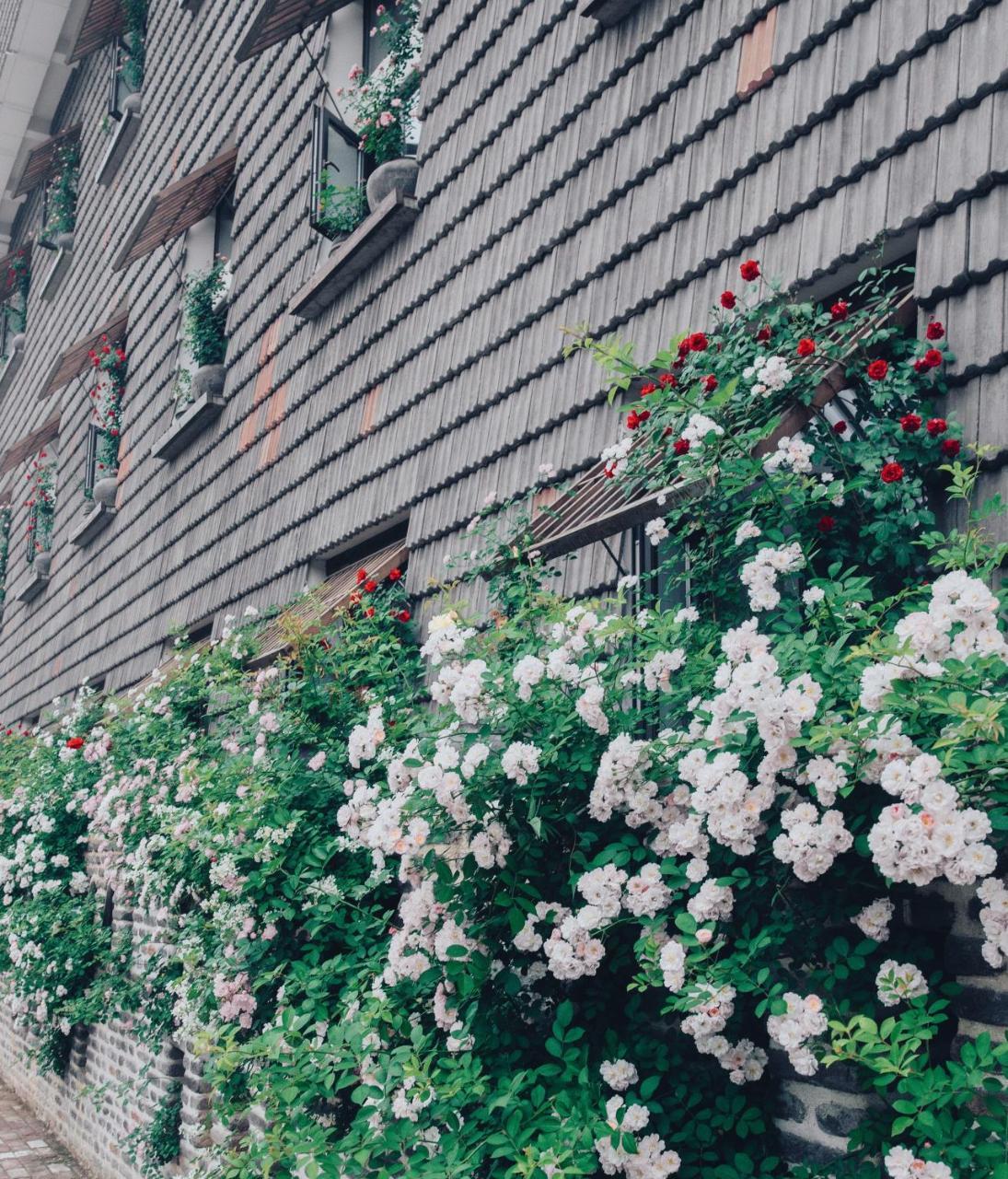 Luoyang Yushe Boutique Hotel Exterior photo